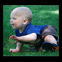 8x12 Sam in the Park